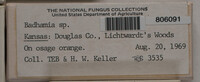 Image Associated With the Occurence